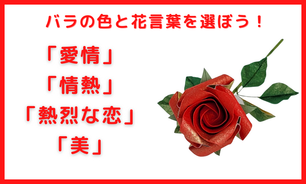 赤いバラと花言葉を選んで思いを伝えましょう！